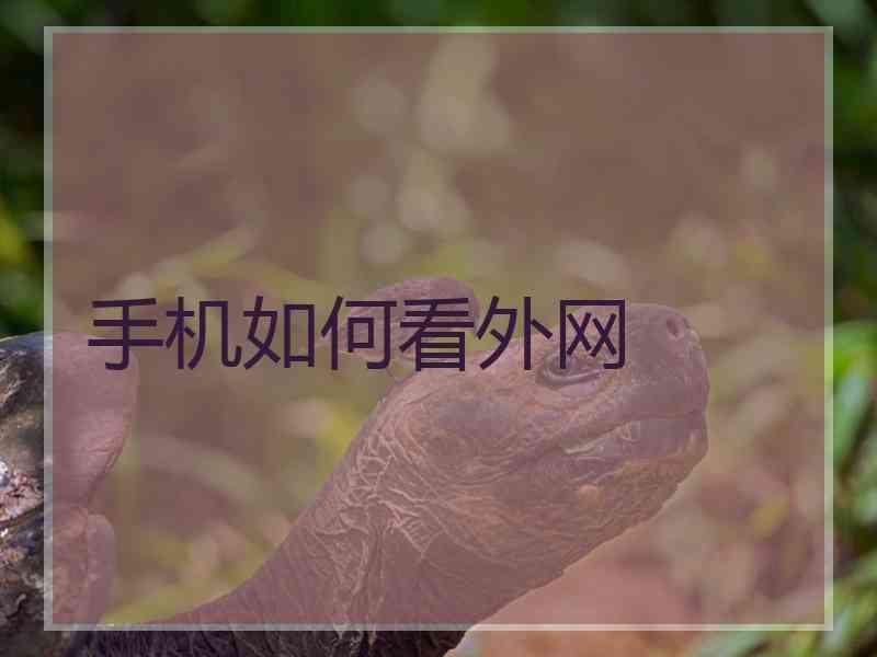 手机如何看外网
