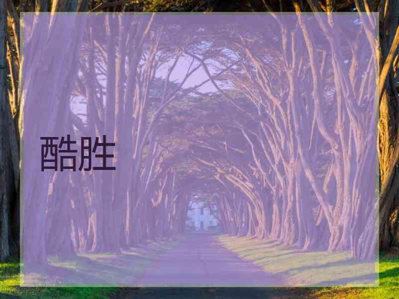 酷胜