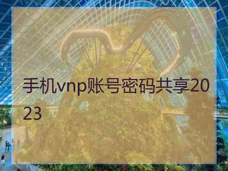 手机vnp账号密码共享2023