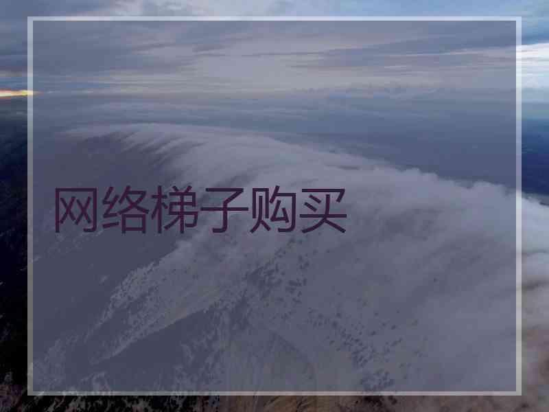 网络梯子购买