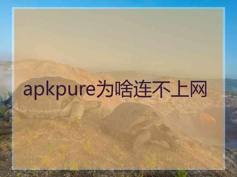 apkpure为啥连不上网