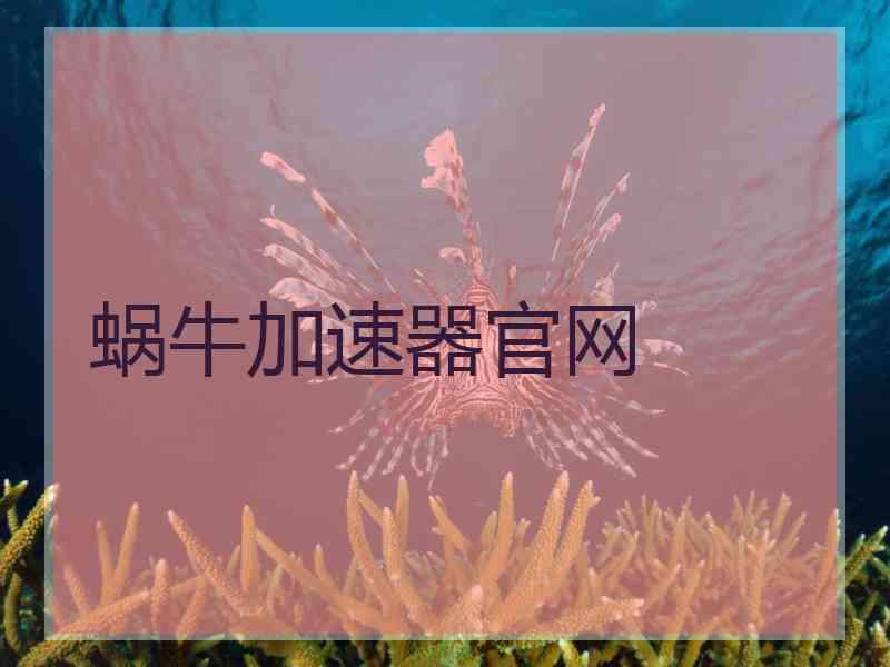 蜗牛加速器官网