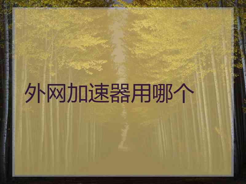 外网加速器用哪个