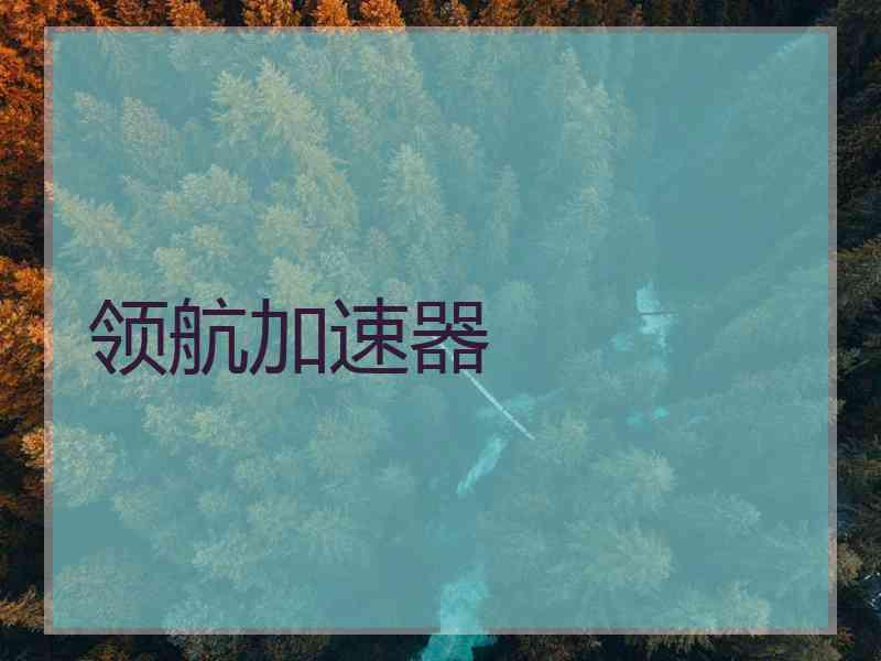 领航加速器