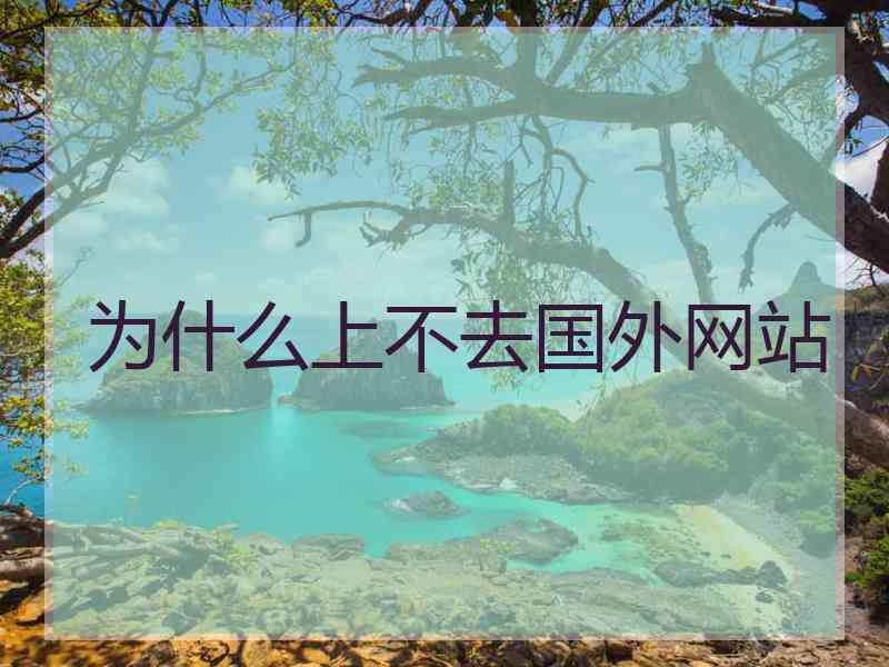 为什么上不去国外网站