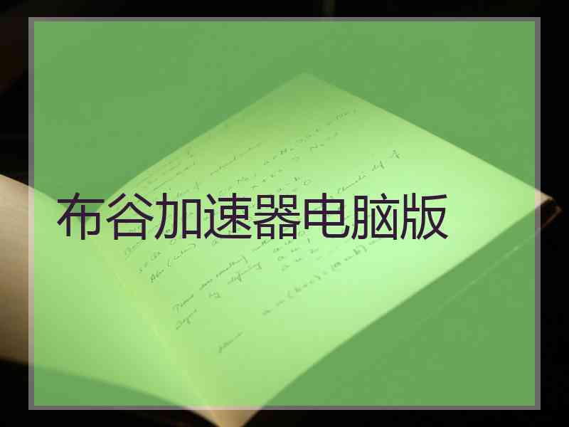 布谷加速器电脑版