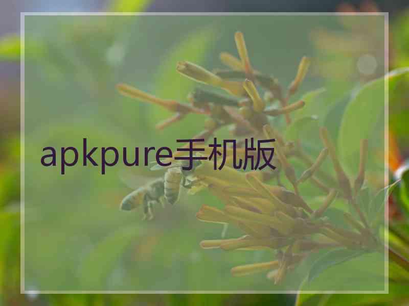apkpure手机版