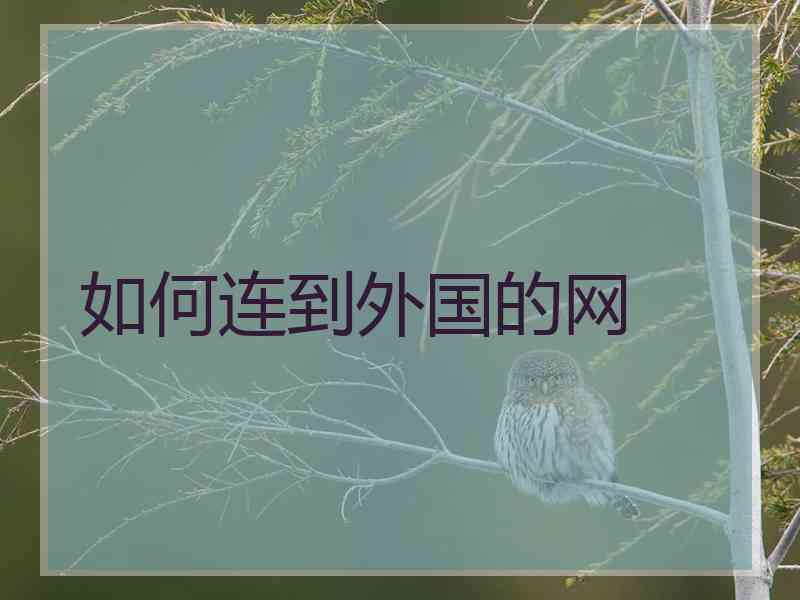 如何连到外国的网