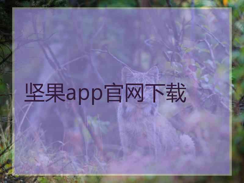坚果app官网下载