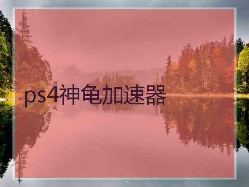 ps4神龟加速器