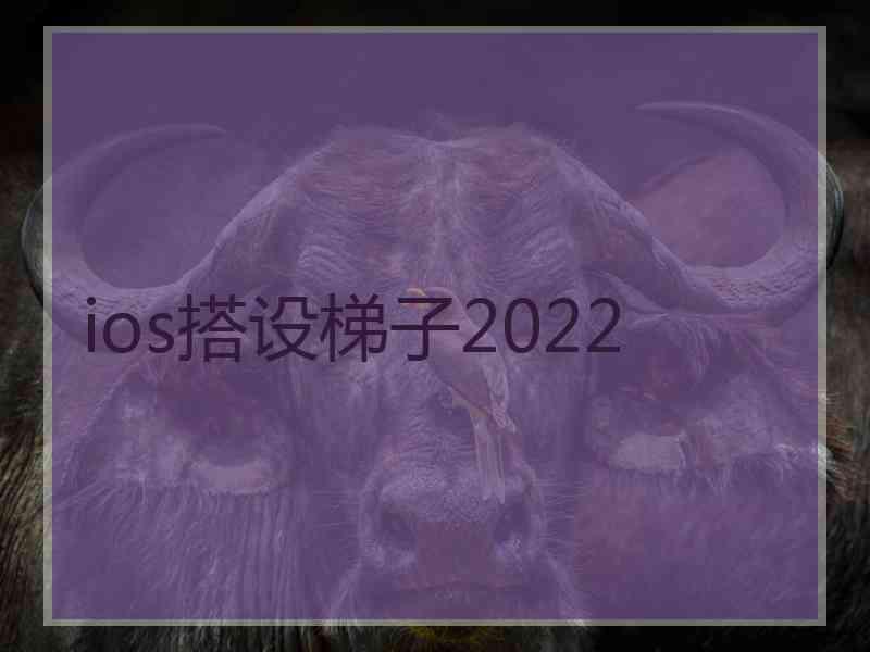 ios搭设梯子2022