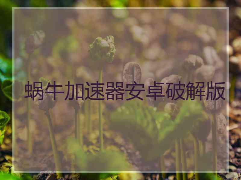 蜗牛加速器安卓破解版