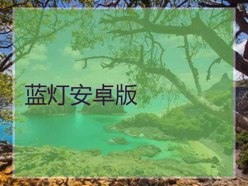 蓝灯安卓版