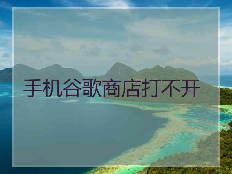 手机谷歌商店打不开