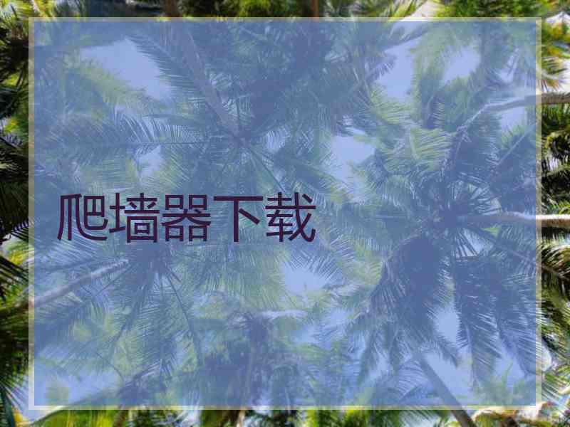 爬墙器下载