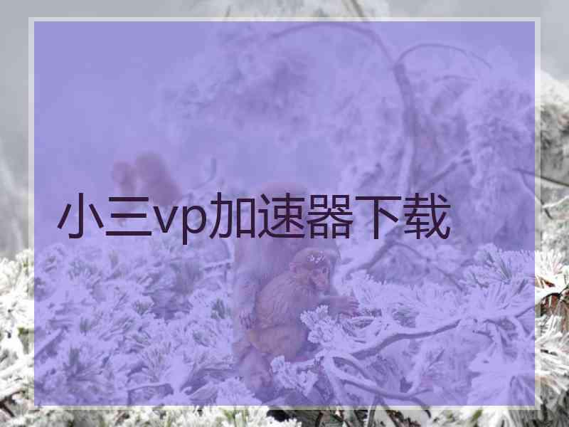小三vp加速器下载