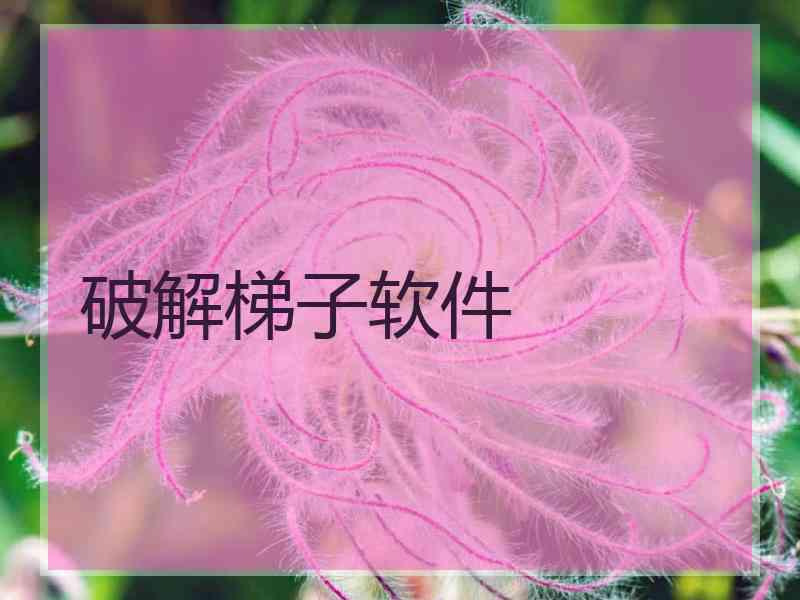 破解梯子软件