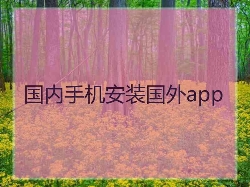 国内手机安装国外app