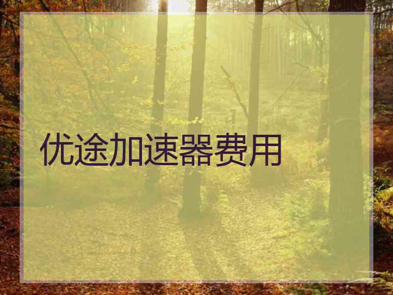 优途加速器费用
