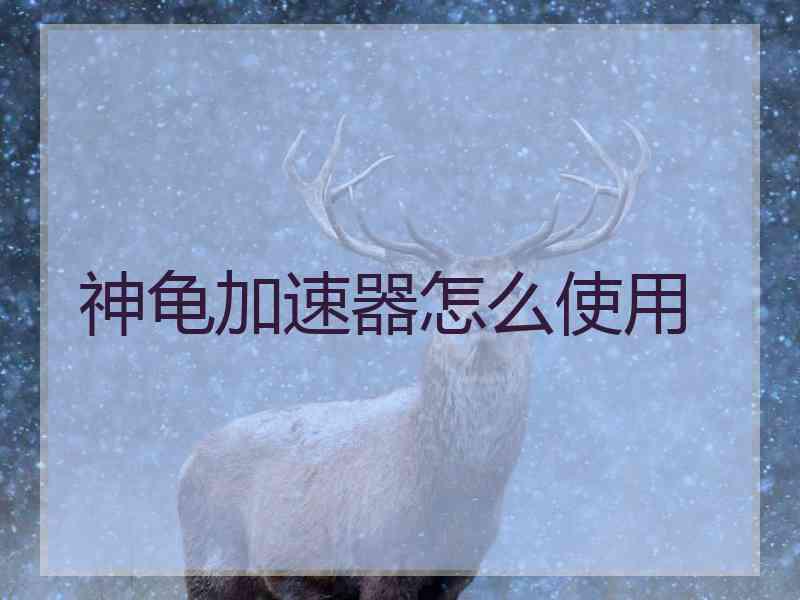 神龟加速器怎么使用