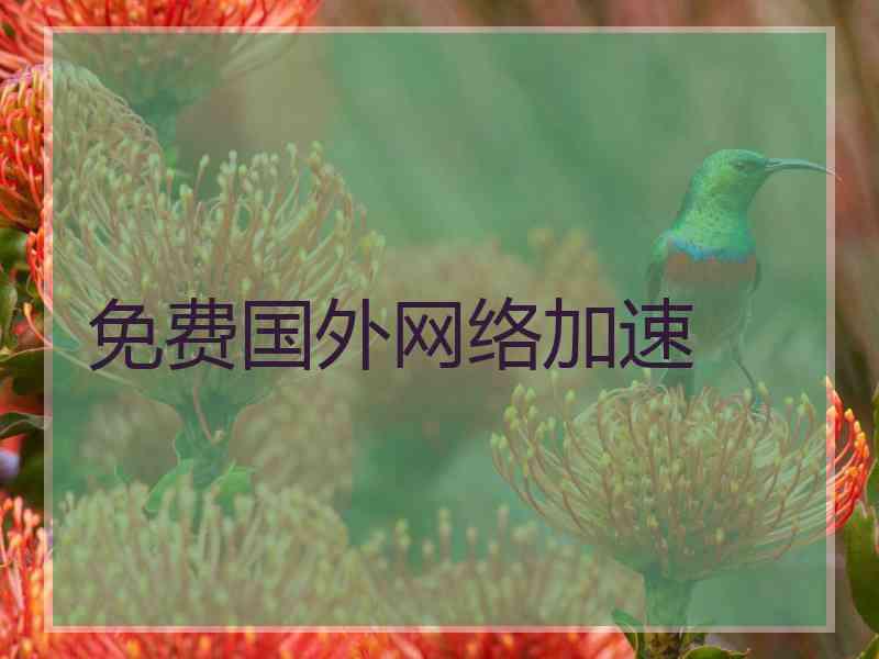 免费国外网络加速