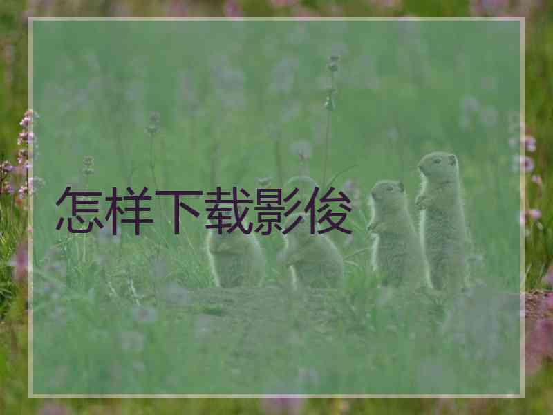 怎样下载影俊
