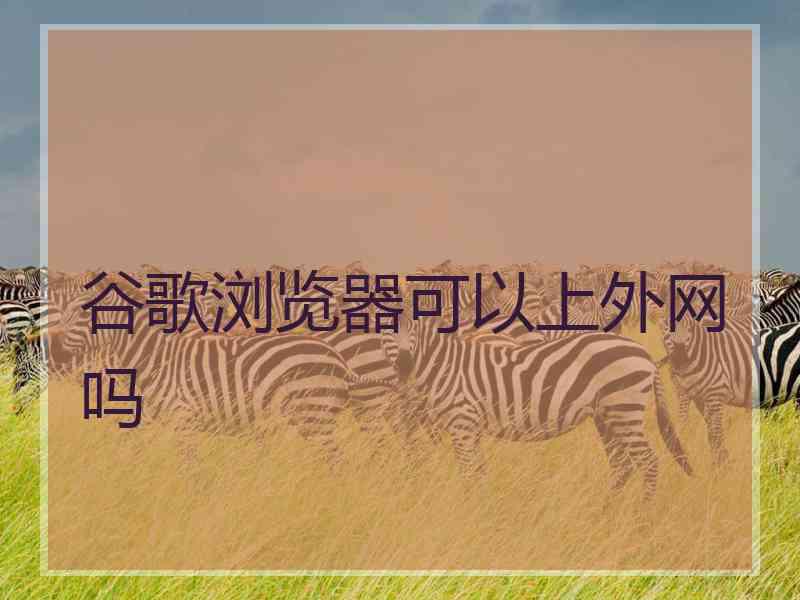 谷歌浏览器可以上外网吗