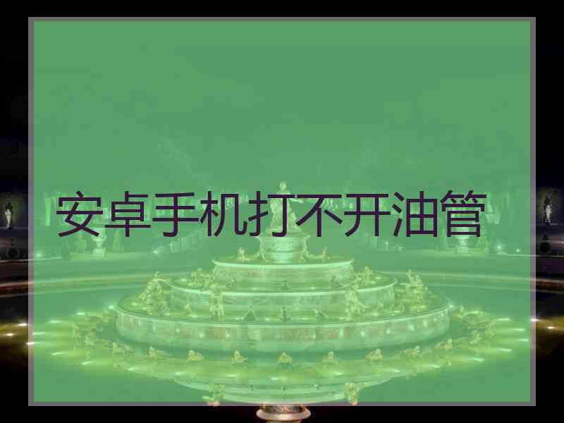 安卓手机打不开油管