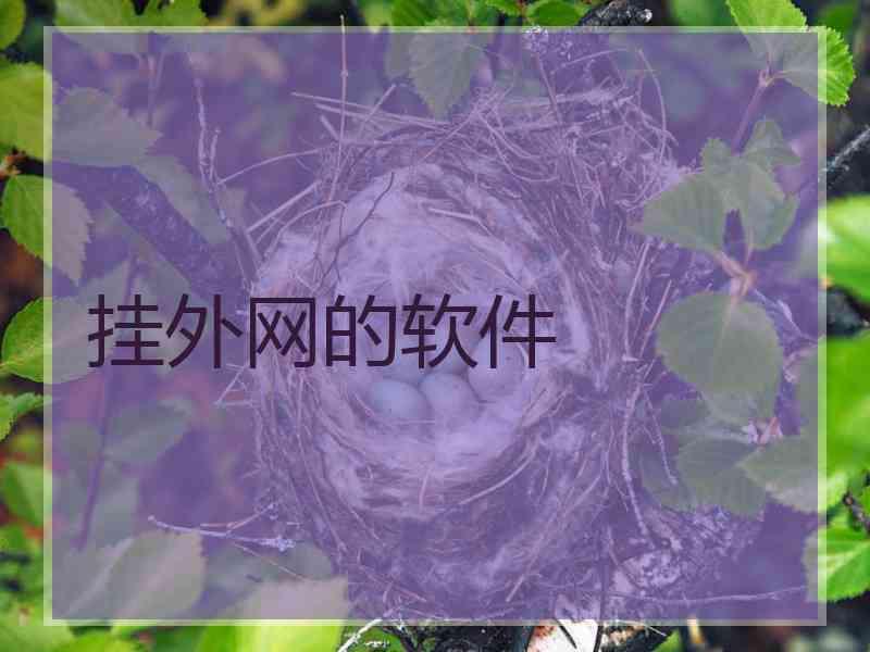 挂外网的软件