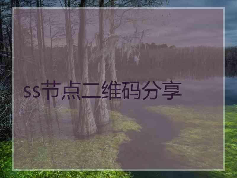 ss节点二维码分享