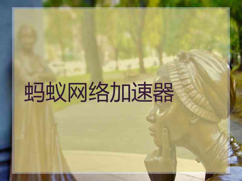 蚂蚁网络加速器