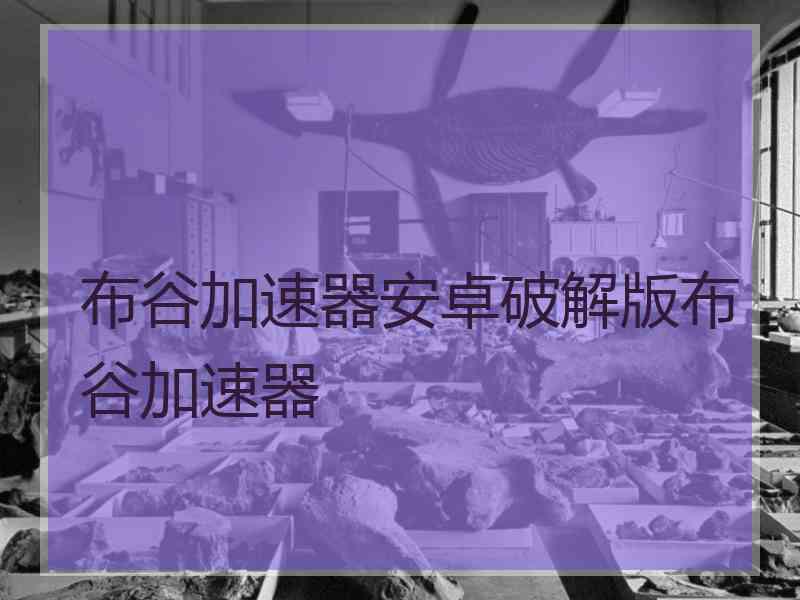 布谷加速器安卓破解版布谷加速器