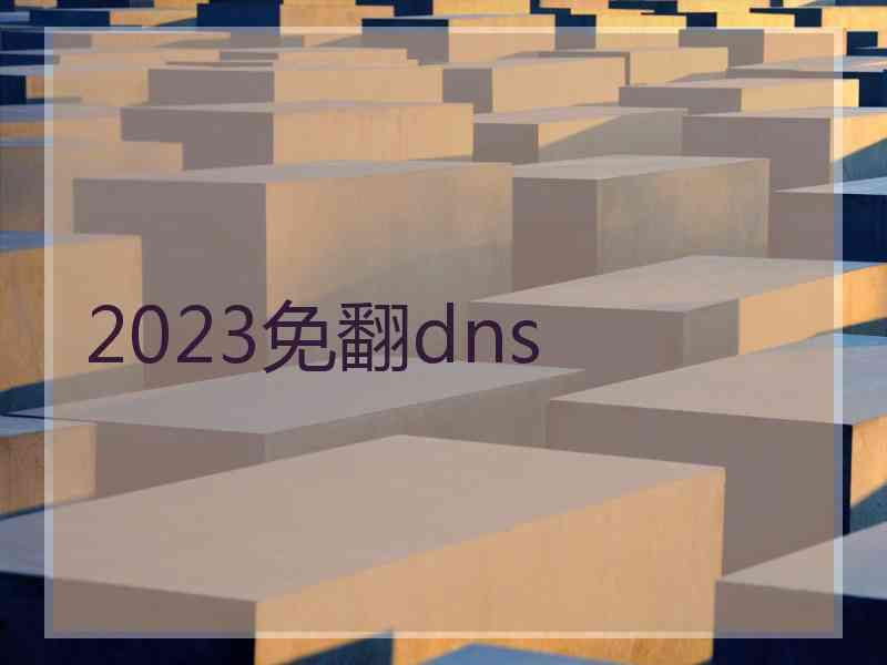 2023免翻dns