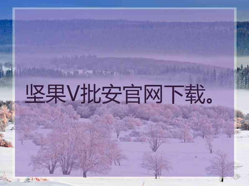 坚果V批安官网下载。