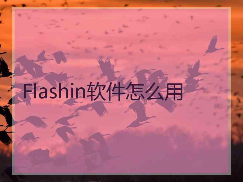 Flashin软件怎么用