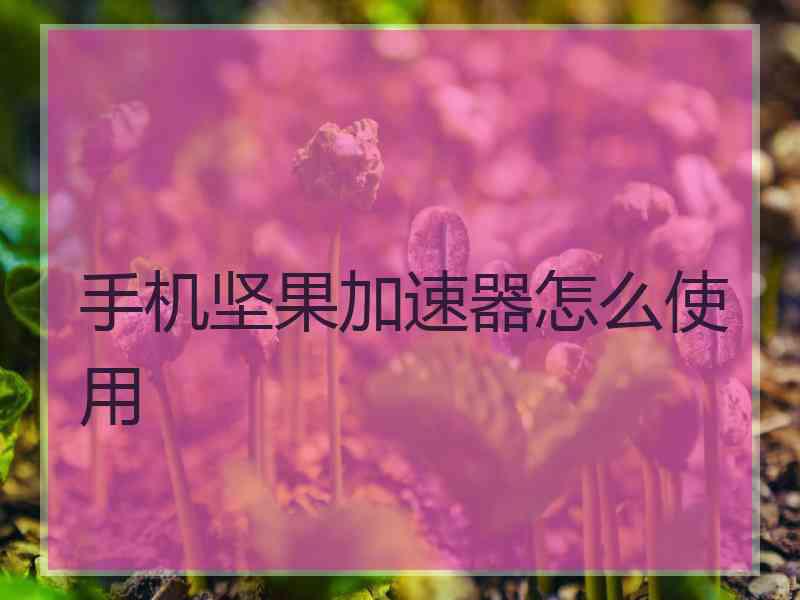 手机坚果加速器怎么使用