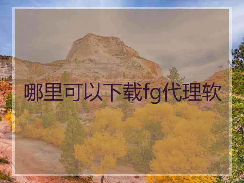 哪里可以下载fg代理软