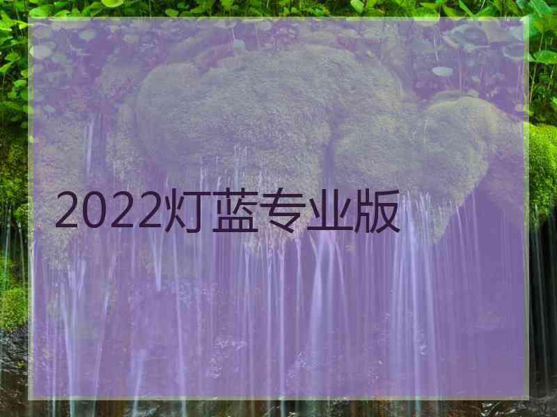 2022灯蓝专业版