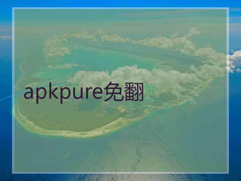 apkpure免翻