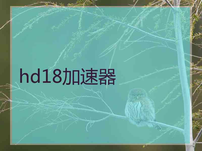 hd18加速器