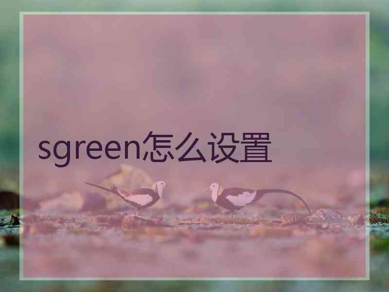 sgreen怎么设置