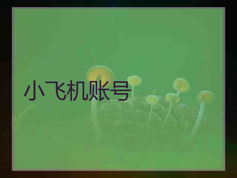 小飞机账号