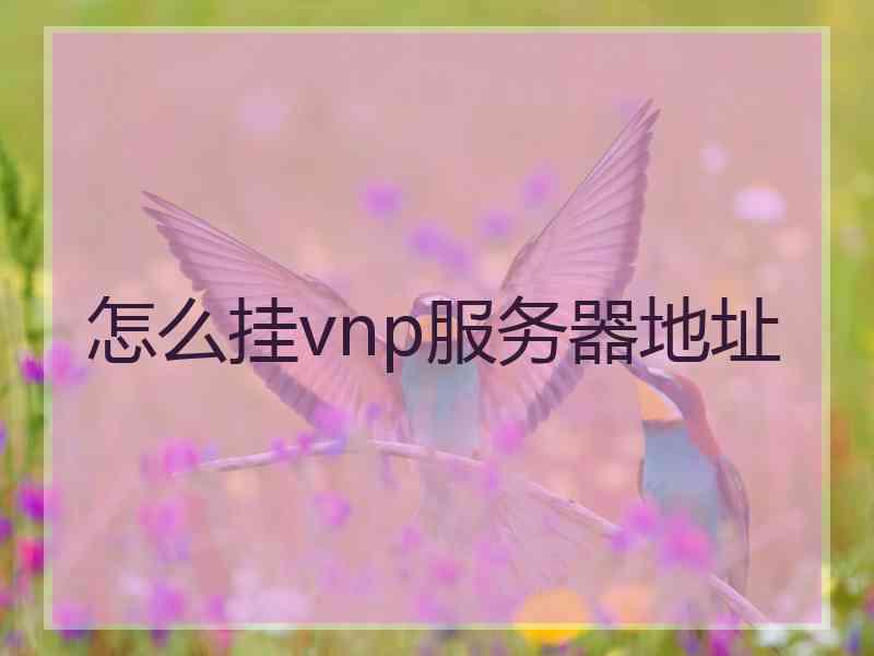 怎么挂vnp服务器地址