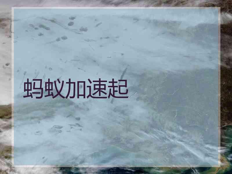 蚂蚁加速起