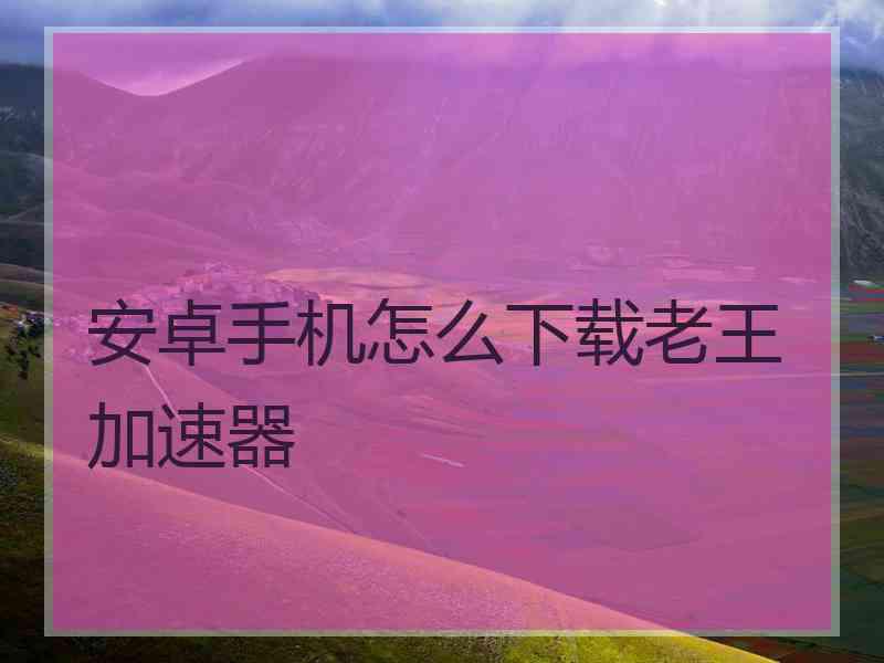 安卓手机怎么下载老王加速器