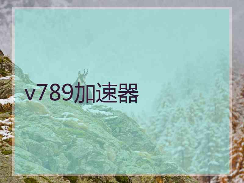 v789加速器