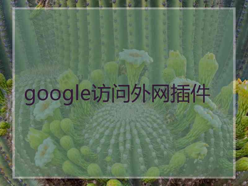 google访问外网插件