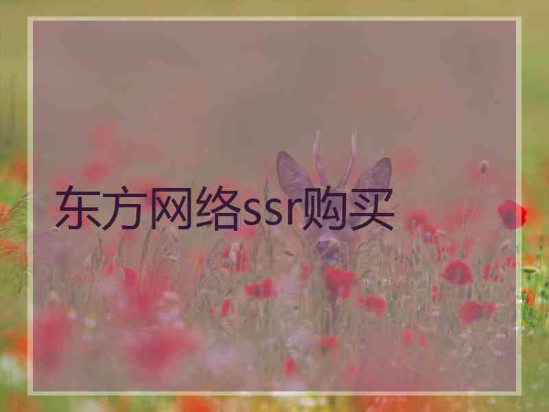 东方网络ssr购买