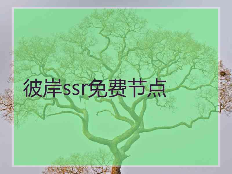 彼岸ssr免费节点