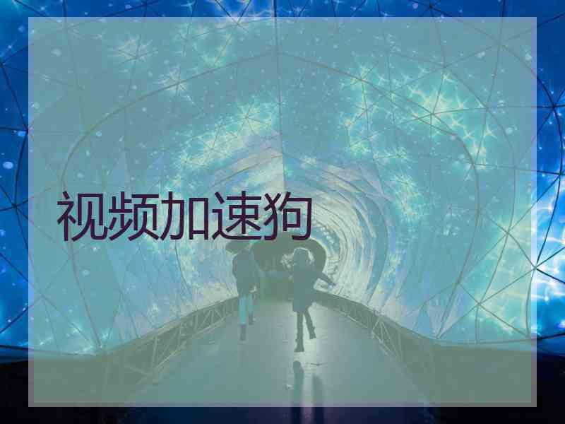 视频加速狗